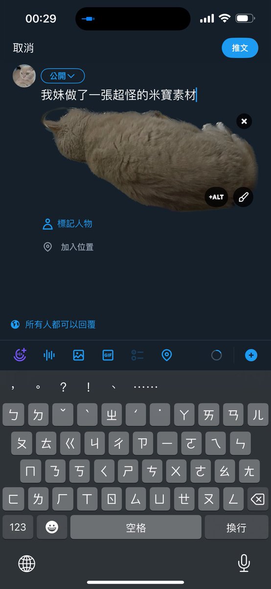 我妹做了一張超怪的米寶素材