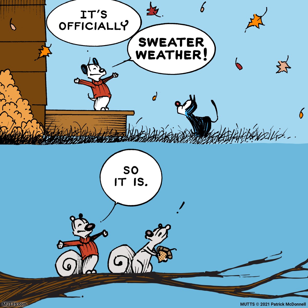 How's the weather in your neck of the woods? Time for sweaters yet?