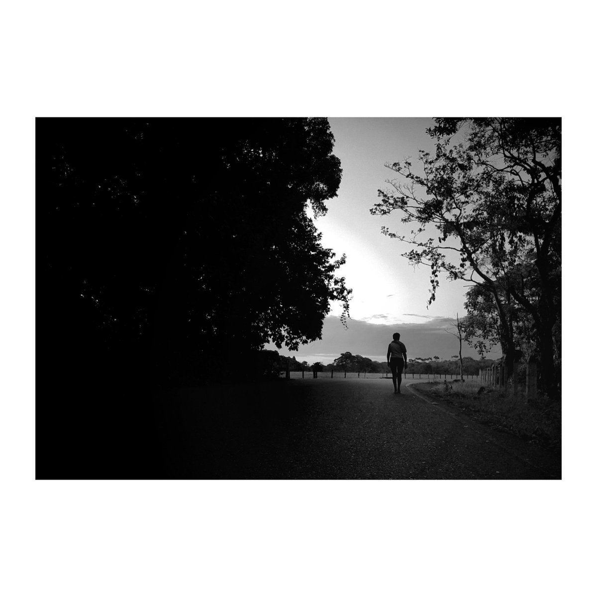 A blanco y negro

#bnwphotography #bnw #bnwfineart #fineart #woofermagazine #mobilephotography #smartphonephotography #mobilecapture #mobgraphia #lightroom #snapseed #lightandshadow #lucesysombras #siluetas #silhouettecreative