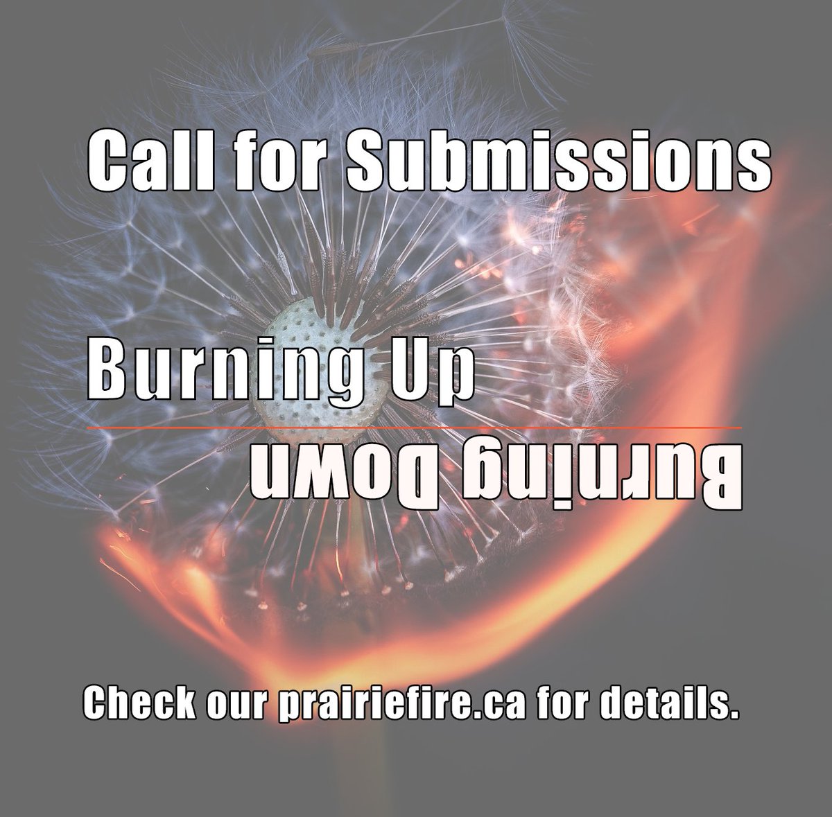 Prairie Fire Magazine tweet media