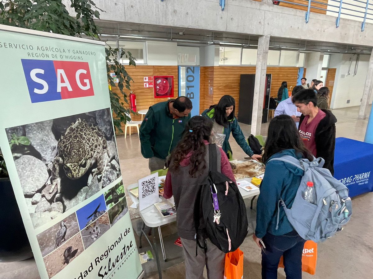 Equipo de <a href="/sagchile/">SAG</a> #OHiggins participa en jornada de difusión en el marco del día  de #Veterinarios y #Veterinarias organizada por <a href="/uohiggins/">Universidad de O'Higgins</a> en #SanFernando. En la instancia se realizará una charla del rol de las personas que ejercen esta profesión en la institución.