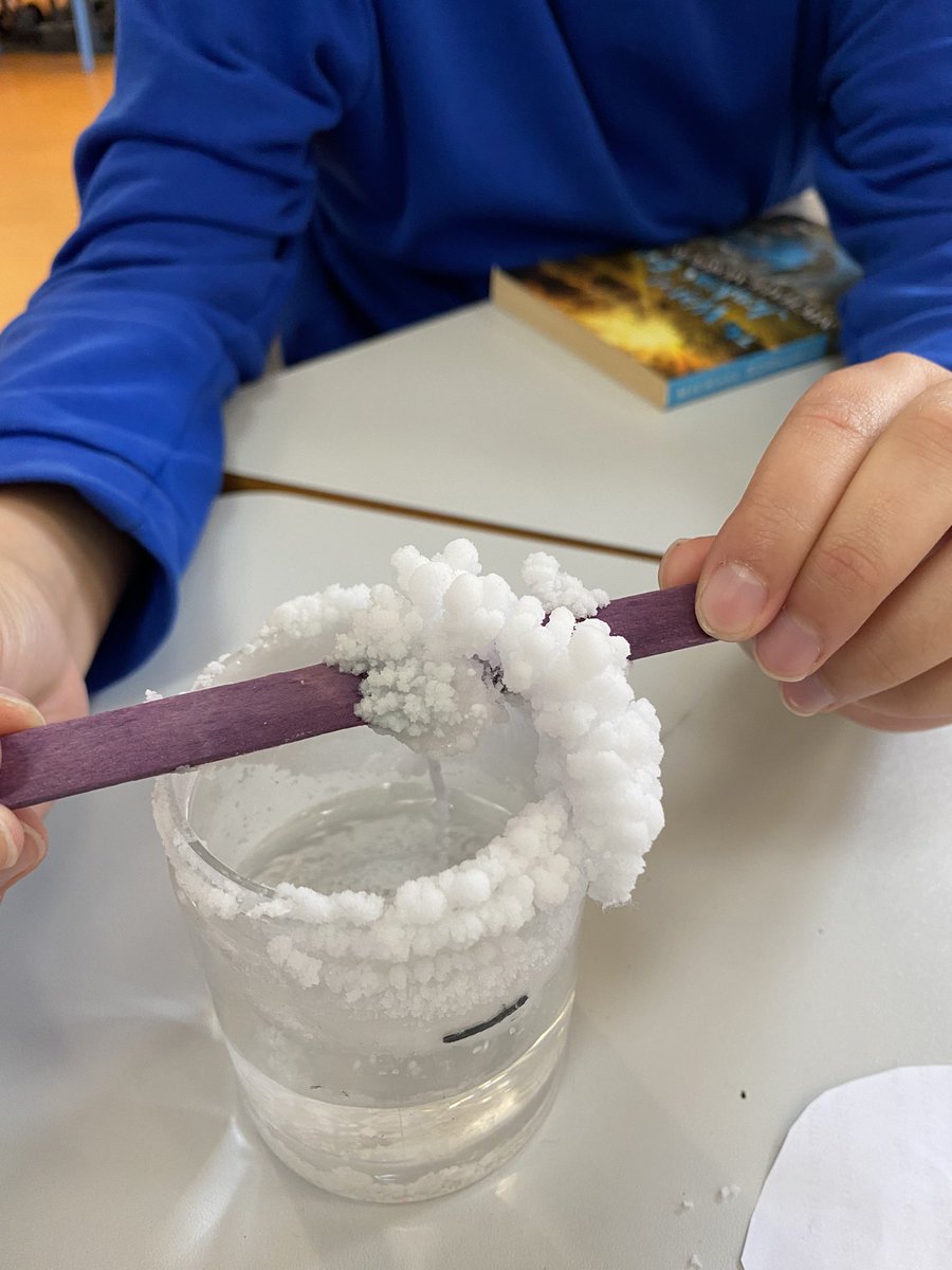 Hazel learning zone made salt crystals. We noticed how much of our supersaturated solution had evaporated and the structure of the crystals. #wfascientists <a href="/Cabotfederation/">Cabot Federation</a>