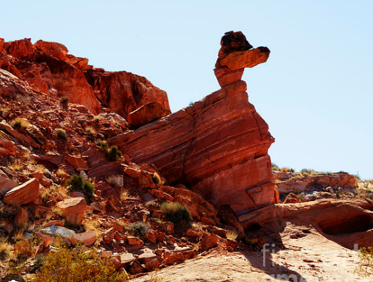 DaRubberDuck's tweet photo. @thundrea_ This is one of my favorite rocks. Don't ask me why.😎 https://t.co/KvQywcIwUh