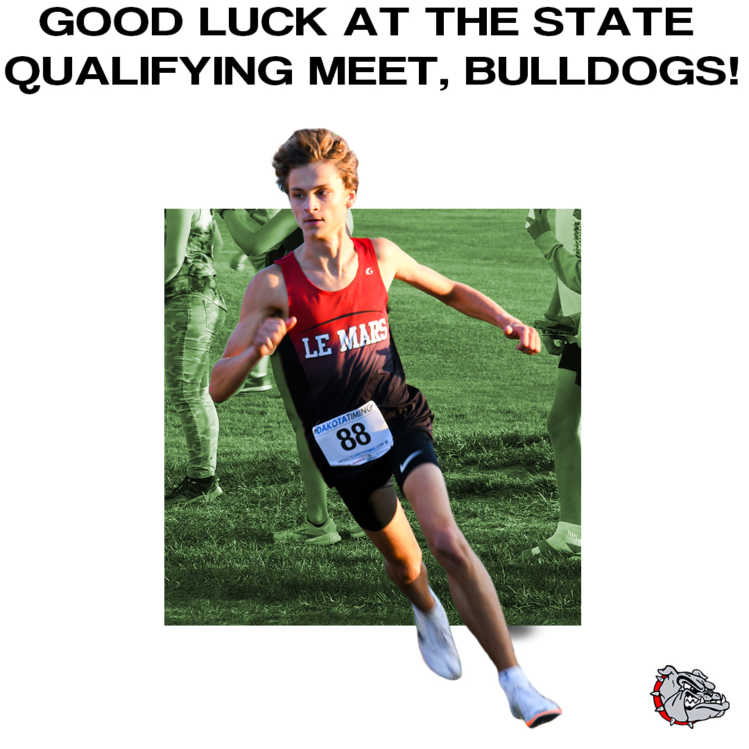 Bulldog Video Media tweet media