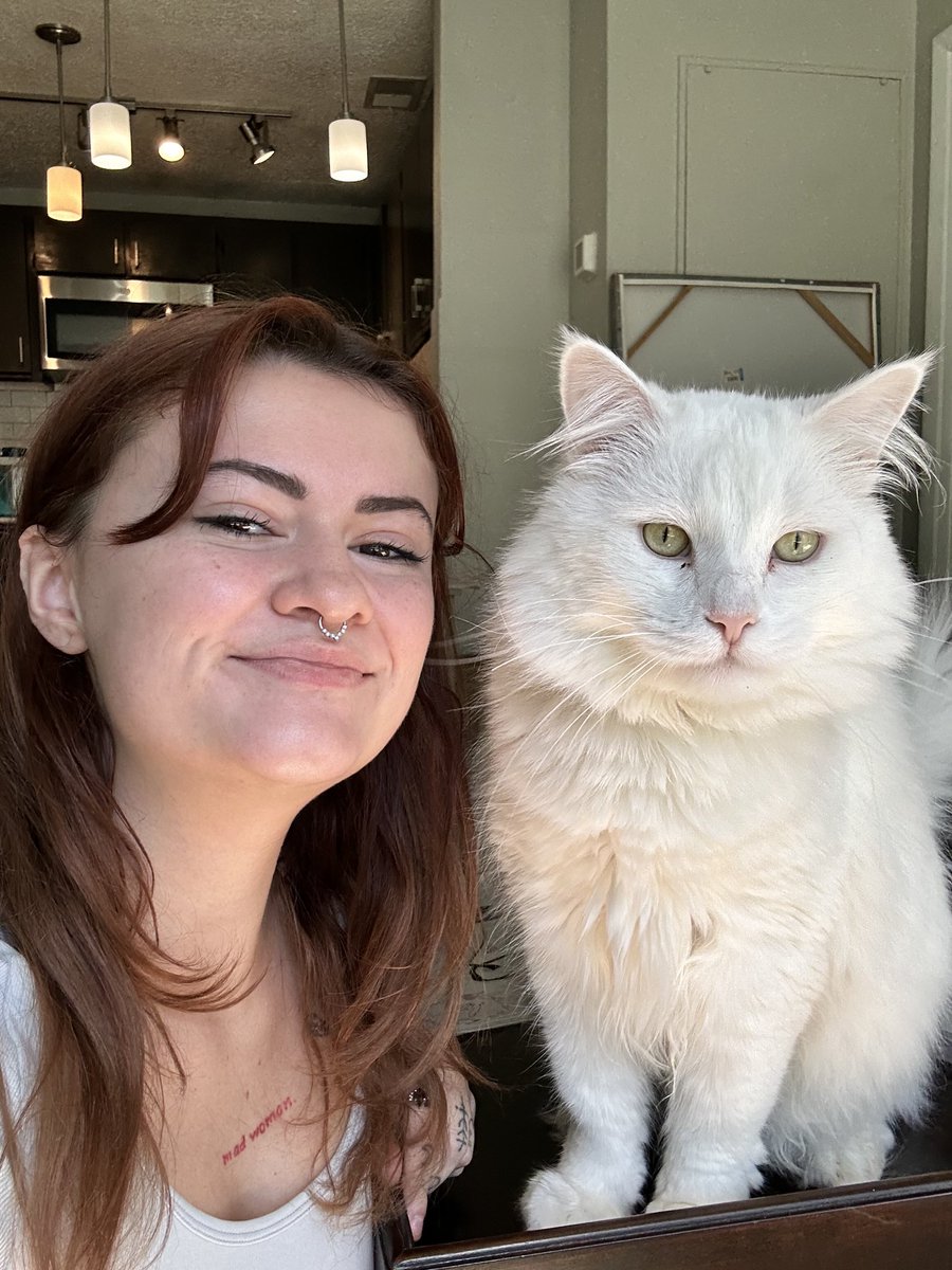 mily_media's tweet photo. Meet Pesto 🐱❤️

Pet Brands, we love creating content together and are currently taking on more brands for UGC! Plus, we have amazing bundles for you 🤭

Inquire here⬇️
💼https://t.co/JUaHGvtmfN
📧hello@themilyeffect.com

#cats #catugc #ugc #paidmedia #petugc #petbrand #catbrand https://t.co/qy0oVIMvbm