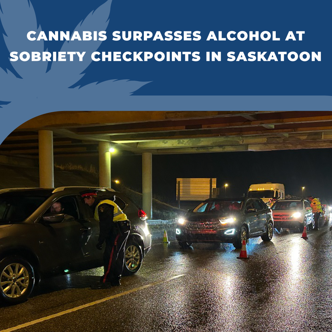 TeamReepher's tweet image. In Saskatoon, Canada, police are using checkpoints to ensure road safety, particularly focusing on impaired driving due to alcohol or drugs, including cannabis. Checkpoints are staffed with police officers and operate for a few hours.

bit.ly/45PFuY1