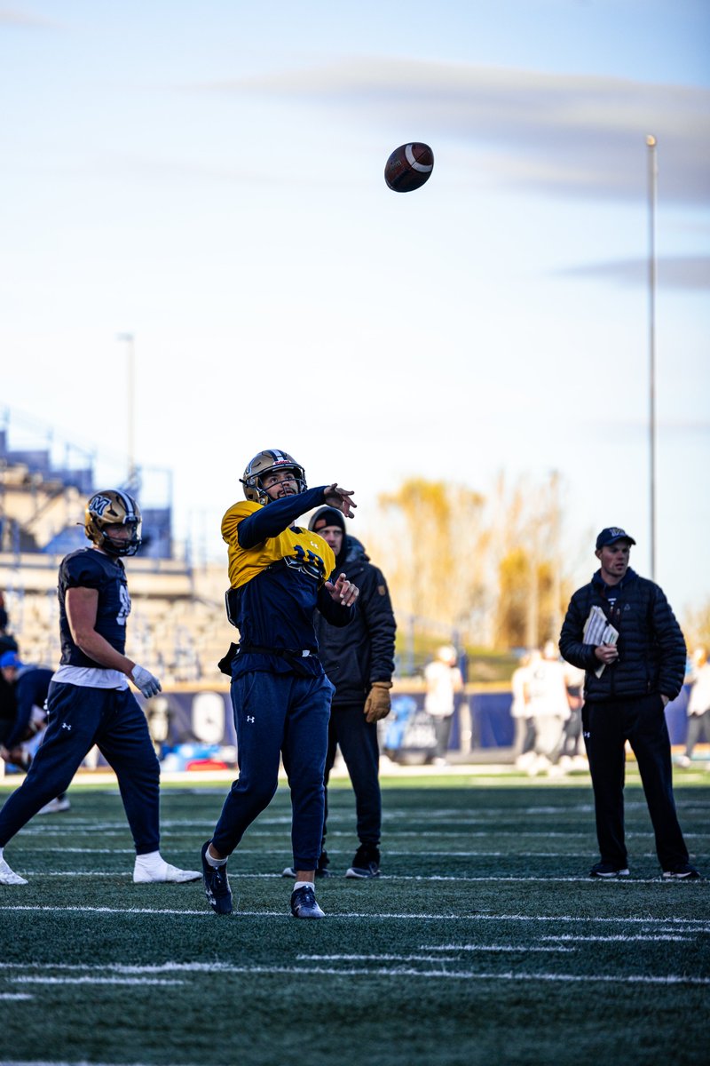 Montana State Football tweet media