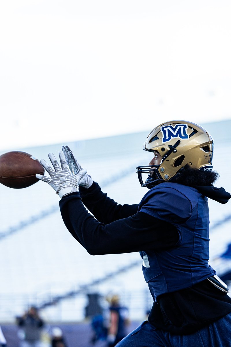 Montana State Football tweet media
