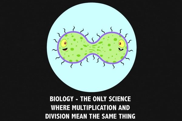 DattaNeelabh05's tweet photo. That's why I always get confused in math class😂. #cellfie #cellout #cellyeah https://t.co/uHwoddNYKP