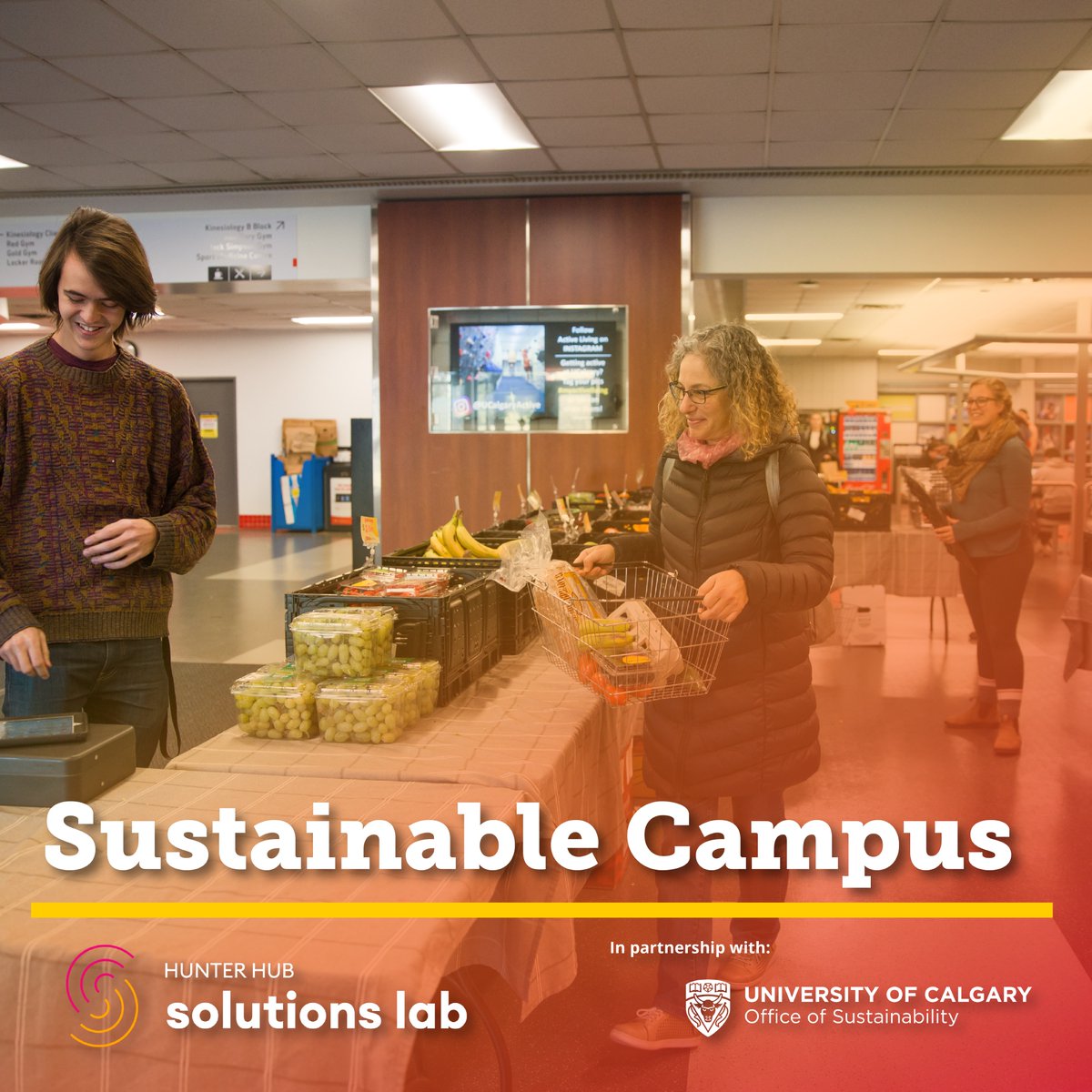 Calling all Hunter Hub Solutions Lab: Sustainable Campus participants! A friendly reminder: the pitch submission deadline is November 15! 🗓️ Don’t forget today we are offering online coaching sessions where you can meet the mentors.