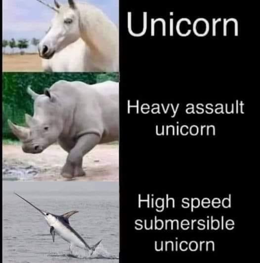 UNICORN DOWN

A wholesome keeper of magical creatures must tap in to her inner villain to save her unicorns from the most dangerous "nice guy" ever. (Men in Black/The Last Unicorn)

#ScreenPit #Fea #PG #Fy #Ad #Ro
#CFin #WrWo
#Cov #ISA #SRv