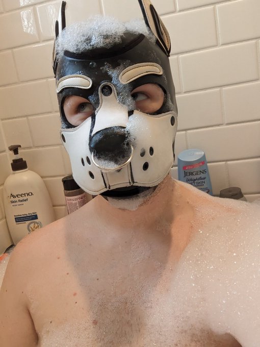 You've heard of Elf on the Shelf. Now get ready for Pupper in the Tubber 🛁 https://t.co/MttPgAzD3R<a href="/tag/anthrohio"class="tags"><span>#anthrohio</span></a>