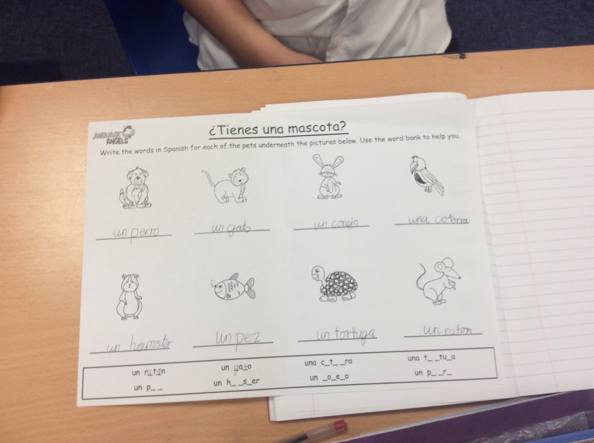 StoneferryPS's tweet photo. Onto the next Spanish unit in Y5/6 ¿Tienes Una Mascota? Excellent understanding of pets so far! #spsspanish #spsmfl #spsyear5 #spsyear6 @LanguageAngels_ https://t.co/4JNQajPJ7U