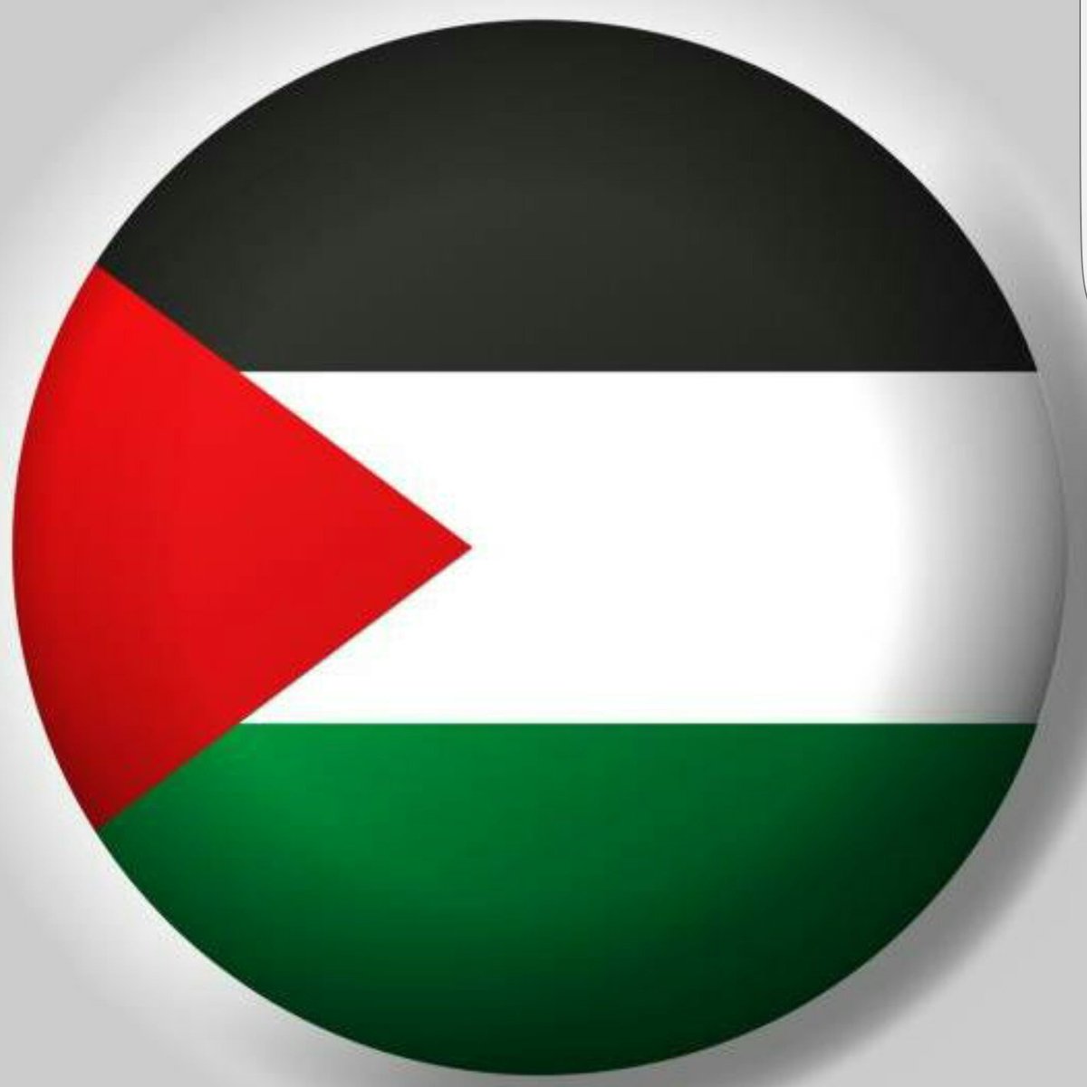 MhrZeeshan8's tweet photo. #NewProfilePic https://t.co/WTdEm8RQPN