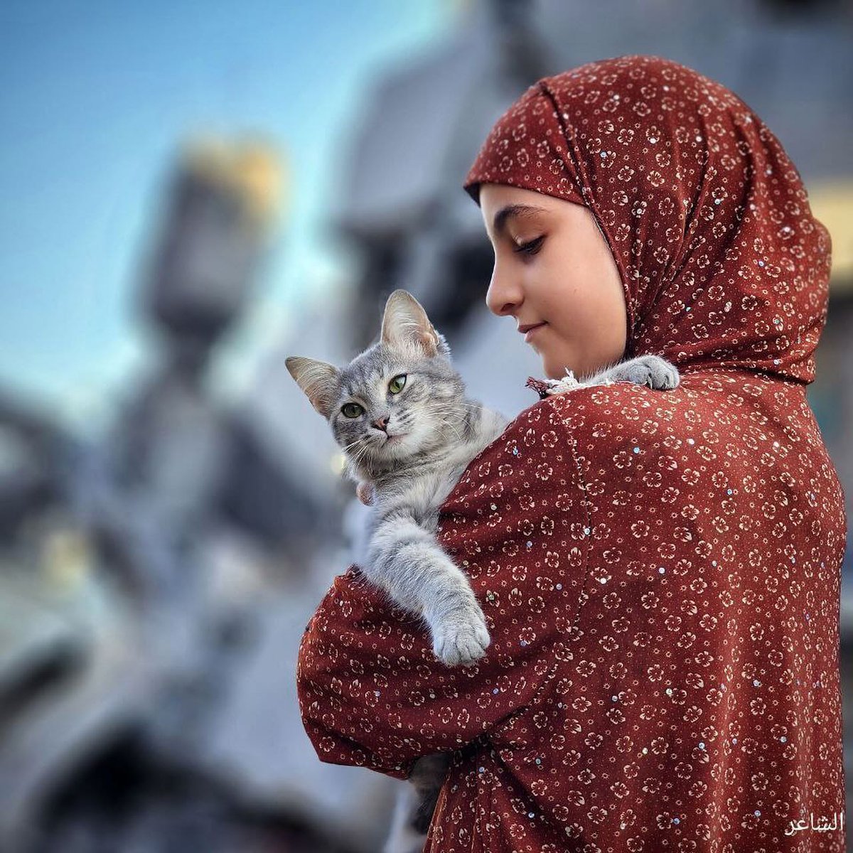 turunculusadhu's tweet photo. Yalnızca birkaç saniyeliğine Gazze'de çocuklarına yetişemeyen bir anne-baba olduğunuzu düşünün;ya da savaşın ortasında olan biteni idrak etmeye çalışan küçücük bir çocuk.Korkunç değil mi? Gazze'de katliam var, zulüm var!
Yetiş ALLAH'ım
#HastaneKatliamı
#israilBirTeroerDevletidir https://t.co/Nlhd1PiDxO