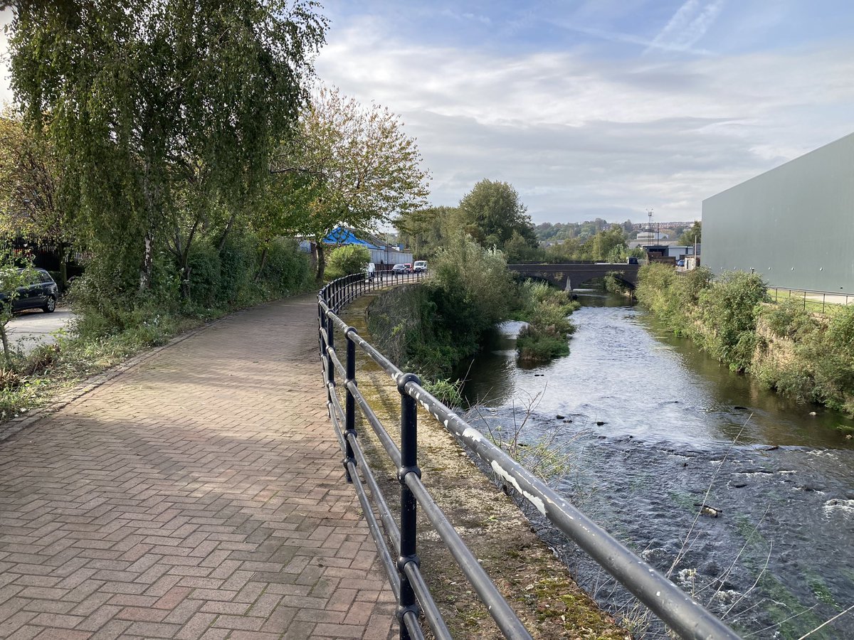 Blue loop tweet media