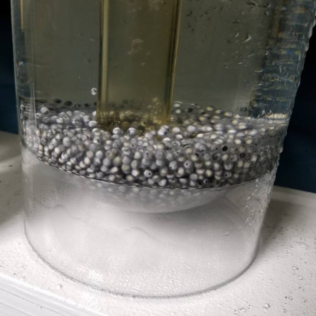 Mt. Adams Institute tweet media