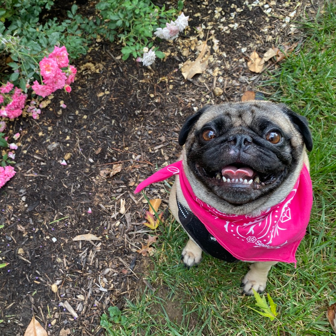 Seek Now tweet media