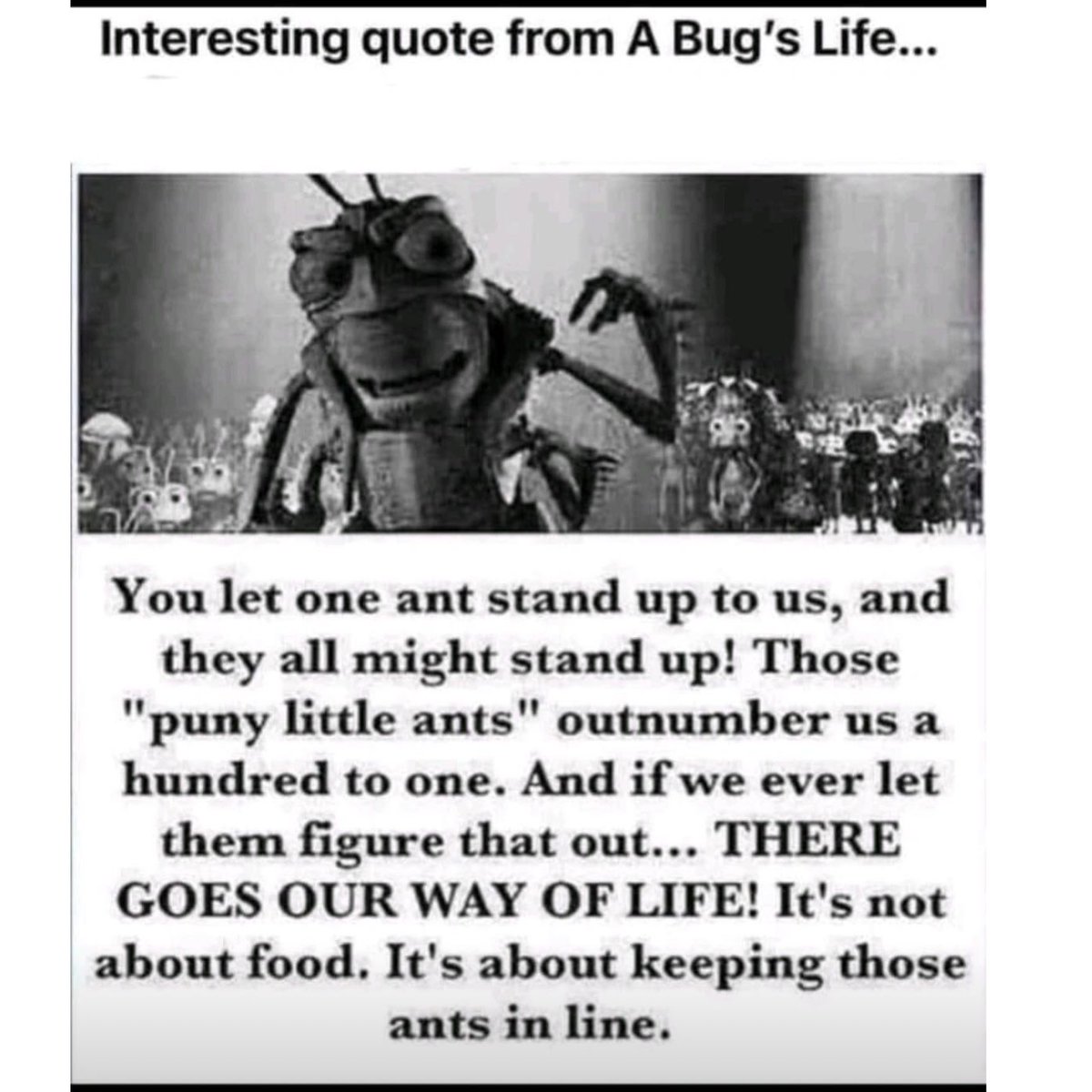 I’m just gonna leave this here….. 🤔