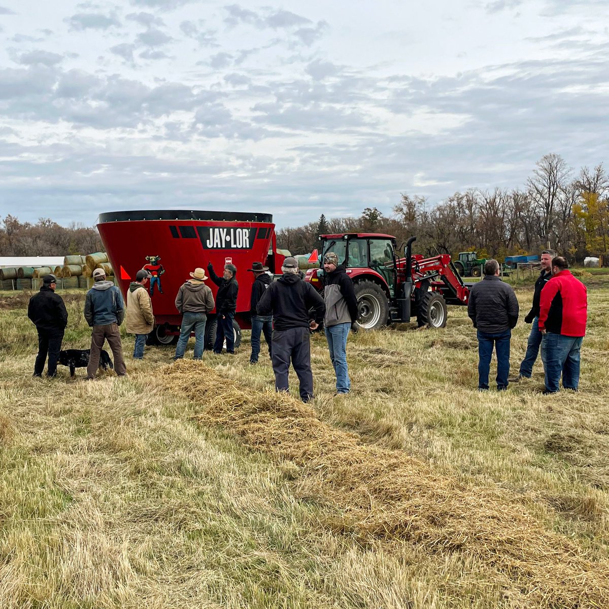 Jerry Oude-Egberink tweet media