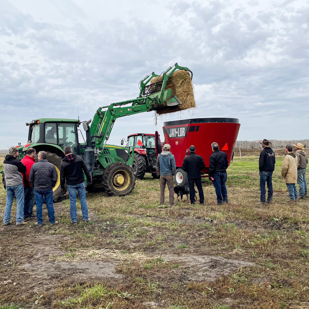 Jerry Oude-Egberink tweet media