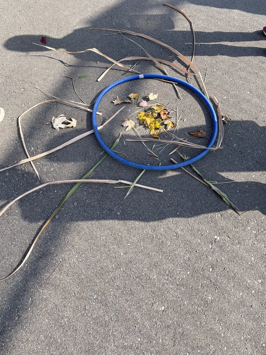MHamill19's tweet photo. Take me outside day mandala art with Grade 1’s!  
@takemeoutside @cooksclass 
@ewfosterps @HaltonDSB https://t.co/a3ls6sQHHm