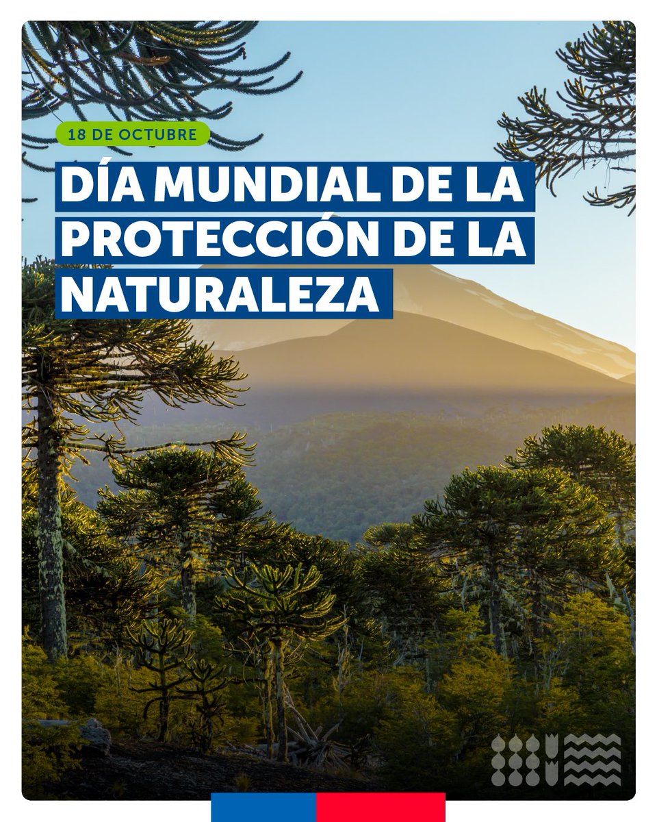 🌱Proteger la naturaleza es fundamental para la preservación de los territorios y la riqueza de nuestra flora y fauna.

Por eso en el Día Mundial de la Protección de la Naturaleza reforzamos nuestro compromiso con acciones concretas para enfrentar la crisis climática 🌎