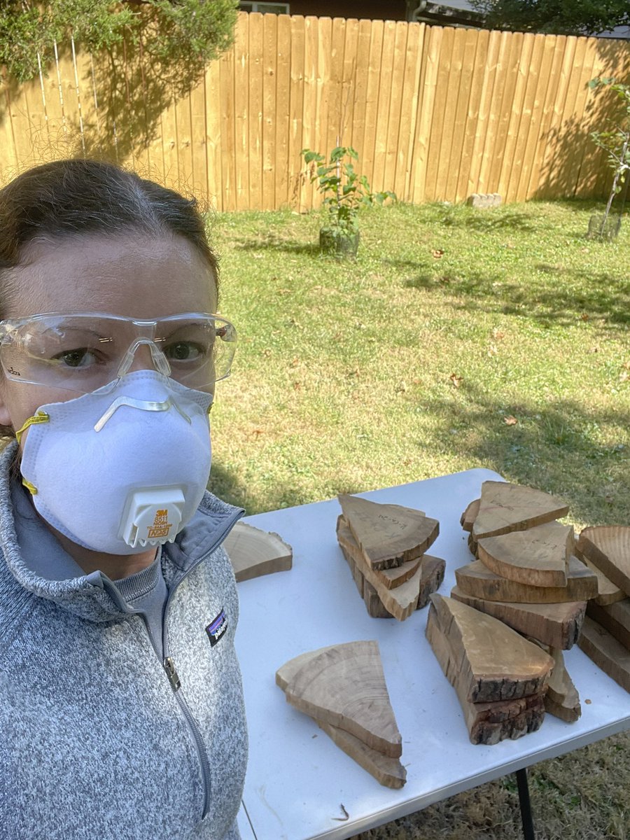 MRochner86's tweet photo. Very excited to continue the legacy of #MOTHERofDendro Florence Hawley-Ellis and work up these beautiful #oak #TreeRing samples from western Kentucky. Filling in a big data gap in our network to understand regional #climate and #humanenvironment interactions. #Dendrochronology https://t.co/TemR8p7tNw