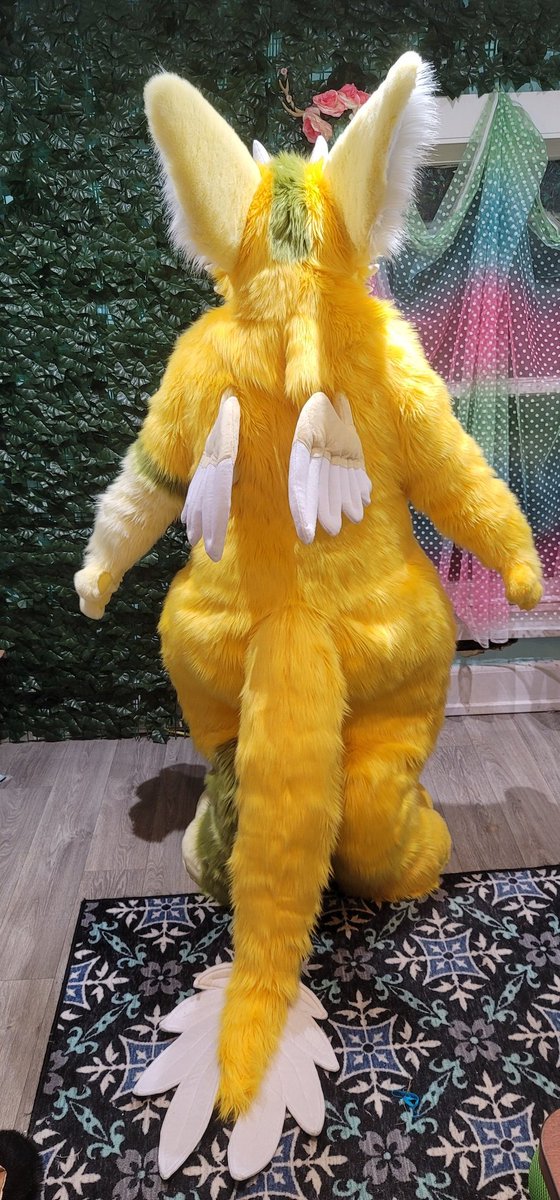 YaAlani's tweet photo. Finally got finished pics of Lemon dutch ad! 
#dutchangeldragon #dutchangeldragons #dutchie #dutchad #monstercatcreations https://t.co/YnWXGB3Tgd