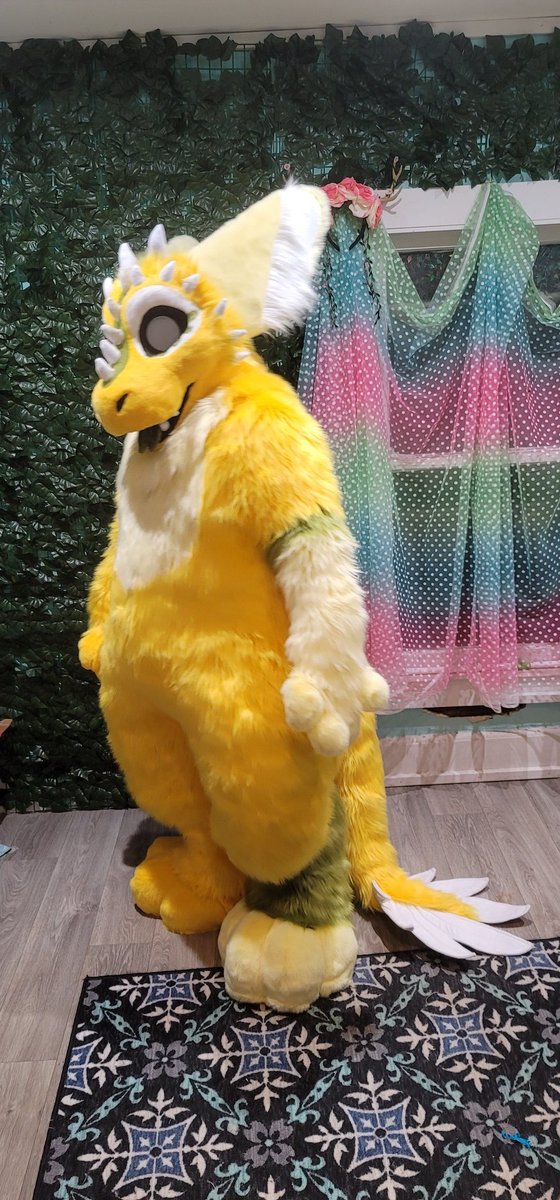 YaAlani's tweet photo. Finally got finished pics of Lemon dutch ad! 
#dutchangeldragon #dutchangeldragons #dutchie #dutchad #monstercatcreations https://t.co/YnWXGB3Tgd