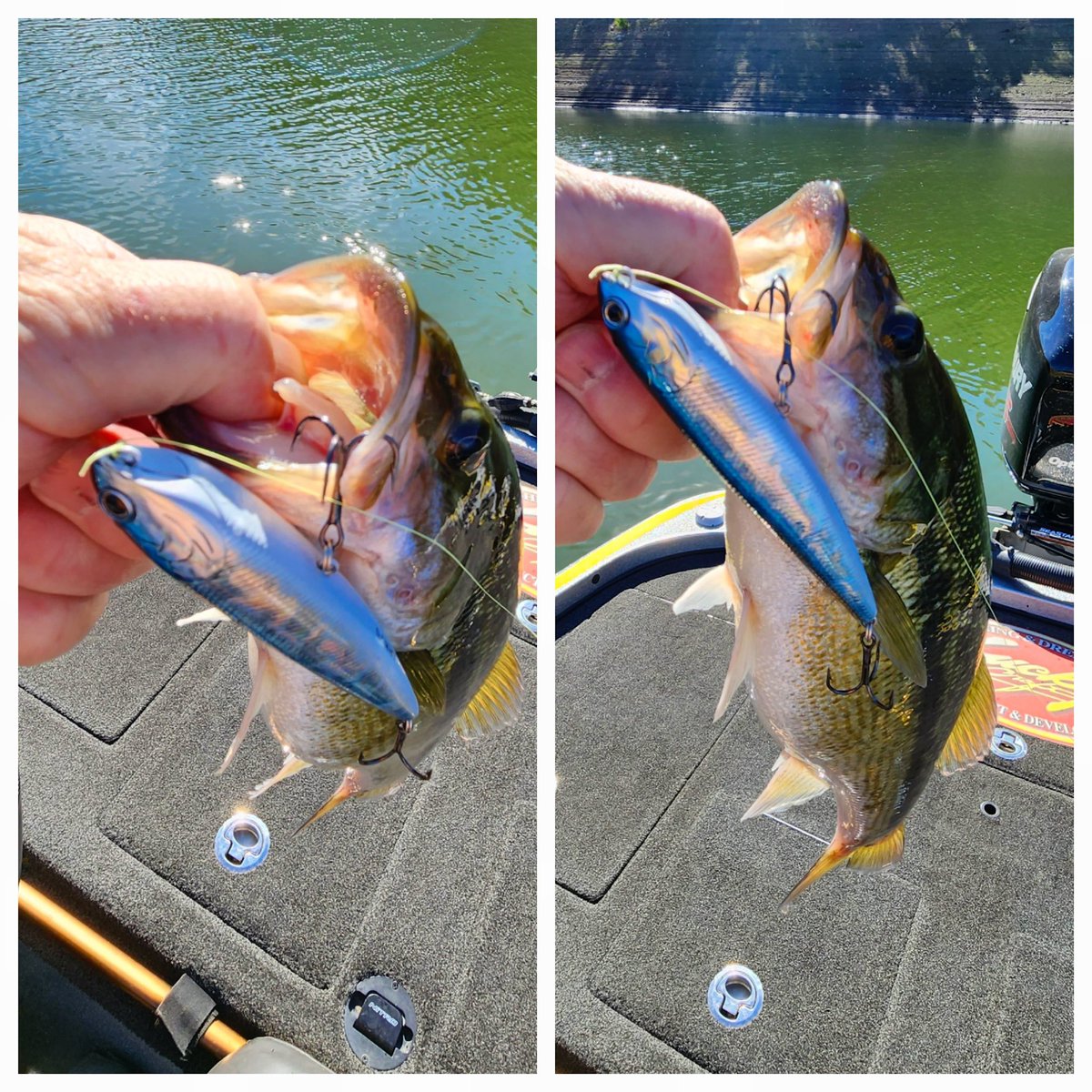 LuckyCraftUSA1's tweet photo. “Some bass had rounded up baitfish into a cove with a little feeder creek trickling in water. I threw the Sammy 100 out and worked it through the feeding zone. Great topwater action for fall transition feeding.”-Billy Redding #Sammy100 #AuroraBlack #LuckyCraft https://t.co/NjtUewAH6j