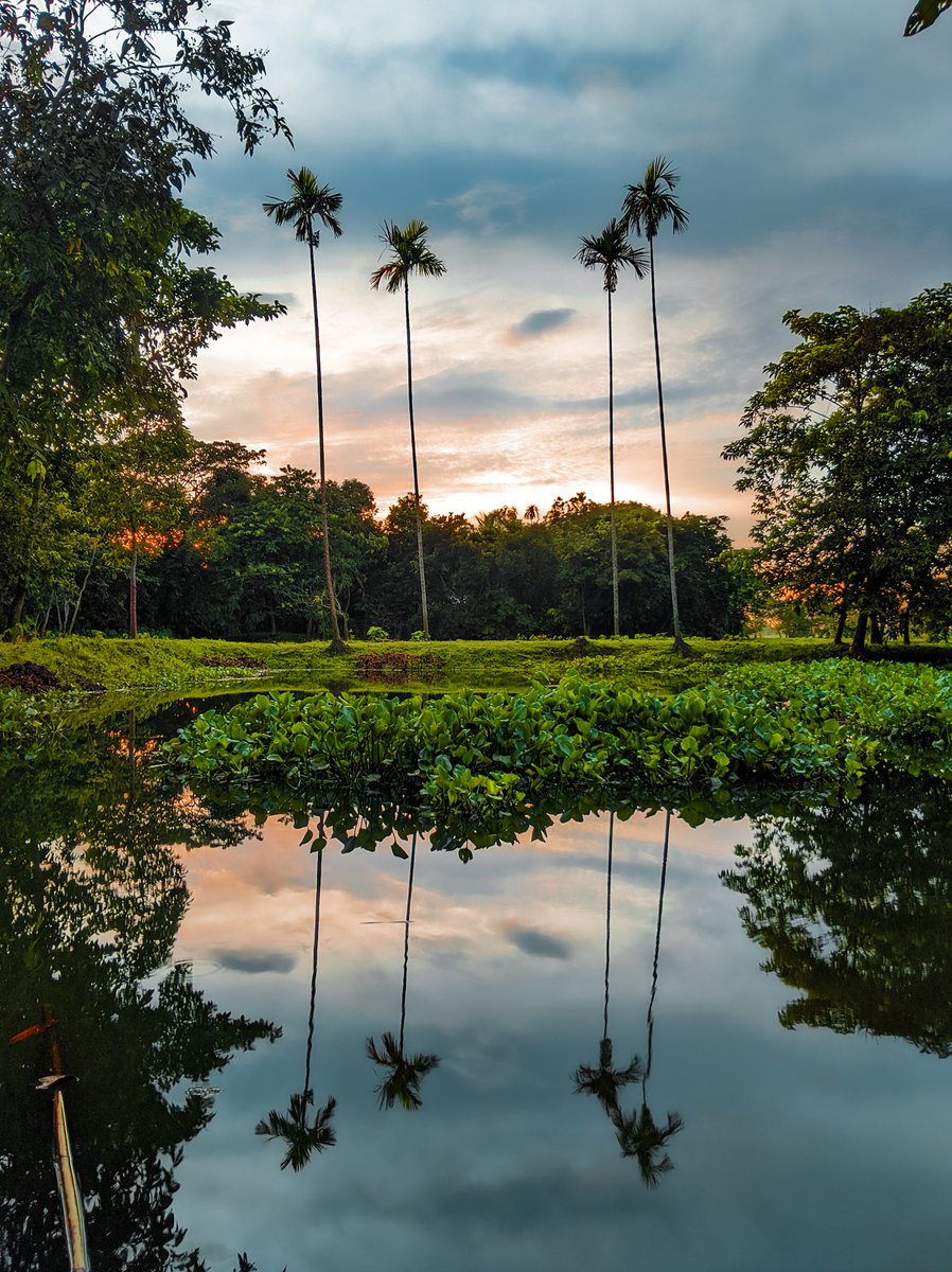 ithefelizer's tweet photo. All Photographers,
Show Me Your Gorgeous REFLECTION Shots 🌅

Re-Tweeting Favorites 🔁

Shot On Primo RX8 Mini Powered By @Snapdragon . Edited On @Lightroom . https://t.co/8O3N0GxXaZ