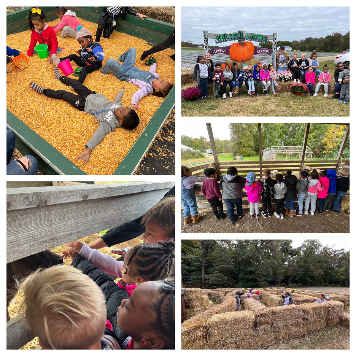 ihes_braves's tweet photo. Our Kindergarten Braves had a great trip to Schlagel farms and learned about how farms end their harvest season! #beeadventurous https://t.co/KWh9CSPCXo