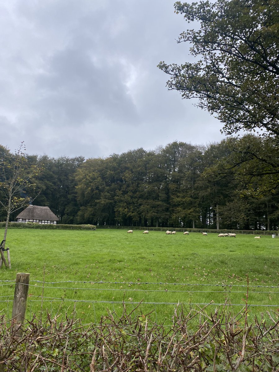 MissJames1405's tweet image. A lovely day at The Museum for Welsh Life in St Fagans!!
The children loved getting immersed in the Victorian Life👩🏽‍🏫📜
It was a great way to see Year 6’s topic come to life!! @stmarypatrick
