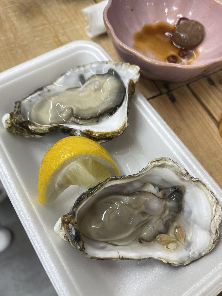 昨日食べた生牡蠣。最高でした。