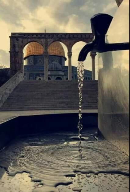 WH8D_88's tweet photo. قَالَ لَا تَخَافَآ ۖ إِنَّنِى مَعَكُمَآ أَسْمَعُ وَأَرَىٰ
Free Palestine🇵🇸🇵🇸🇵🇸🇵🇸🇵🇸
#Usa_Supports_Israel_Crimes
#WeStandWithKarimBenzema https://t.co/hRfhHUxbRB