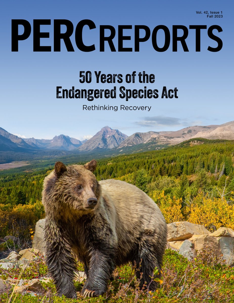 Shawn Regan tweet media