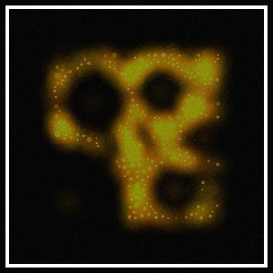 node1618's tweet photo. Gm.
I just caught the "Pelvic Girdle" variation of STARDUST.
https://t.co/MuwU8ZnhEx

#generative #genart #eth #256art https://t.co/BLNps4SCkq