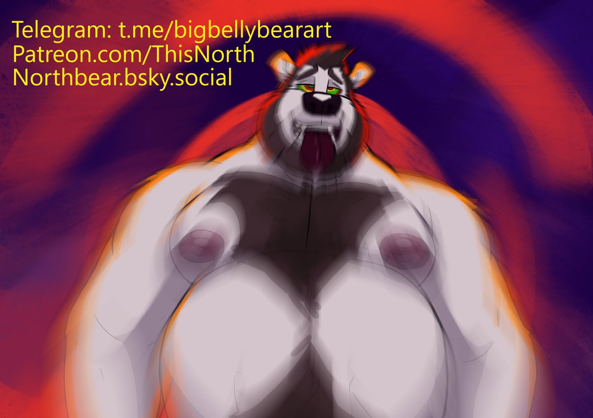 Big Bulk Bear LVFC tweet media