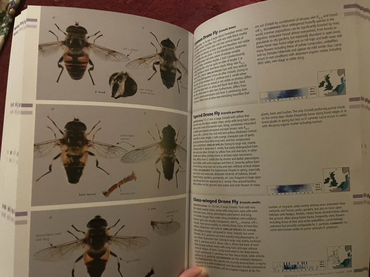 Dr Erica McAlister tweet media