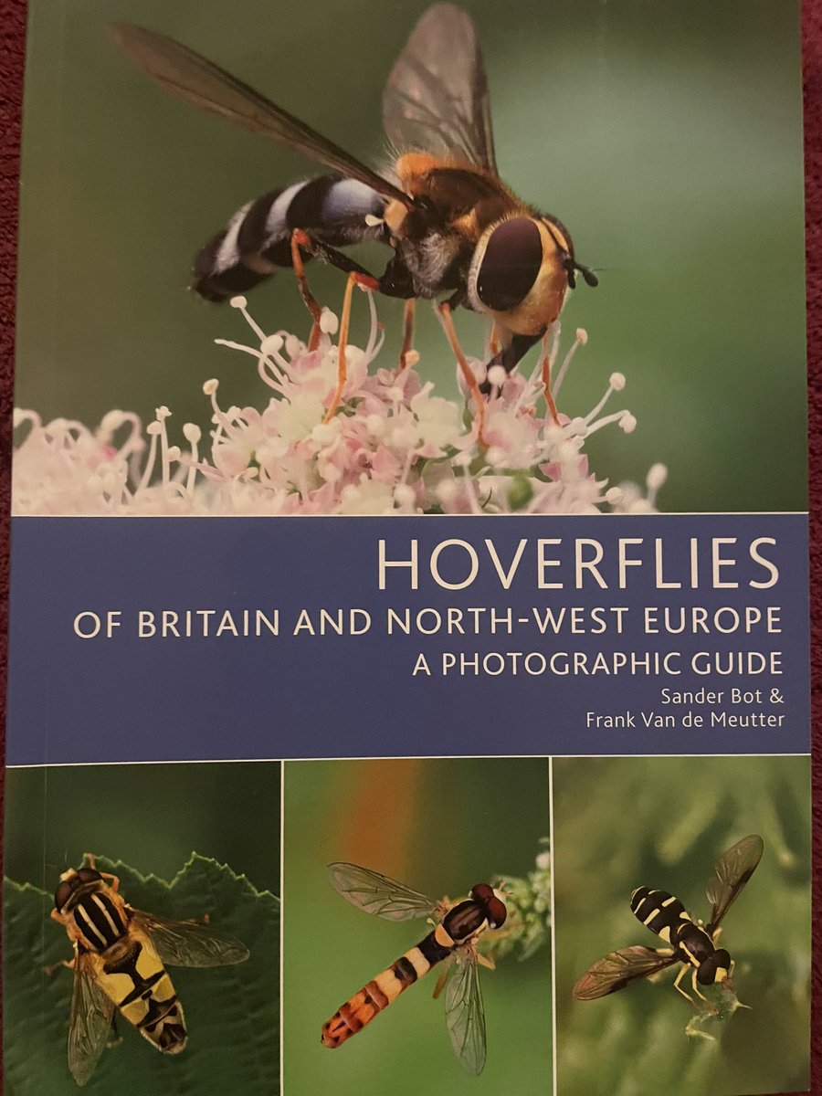 Dr Erica McAlister tweet media