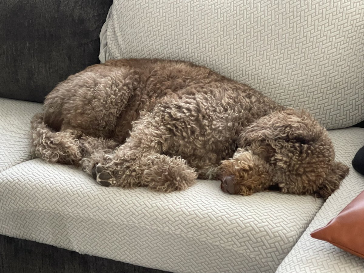 Sa-kiera (you can call me Kiera) TJ Hudson 🏳️‍🌈 tweet media