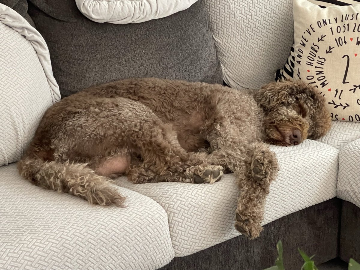 Sa-kiera (you can call me Kiera) TJ Hudson 🏳️‍🌈 tweet media