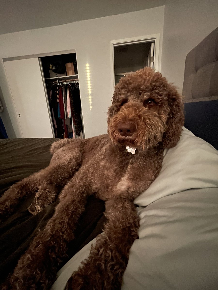 Sa-kiera (you can call me Kiera) TJ Hudson 🏳️‍🌈 tweet media