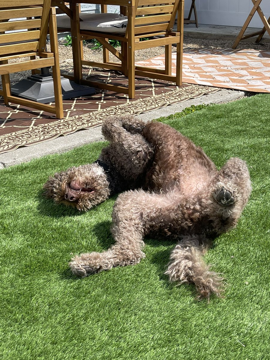 Sa-kiera (you can call me Kiera) TJ Hudson 🏳️‍🌈 tweet media