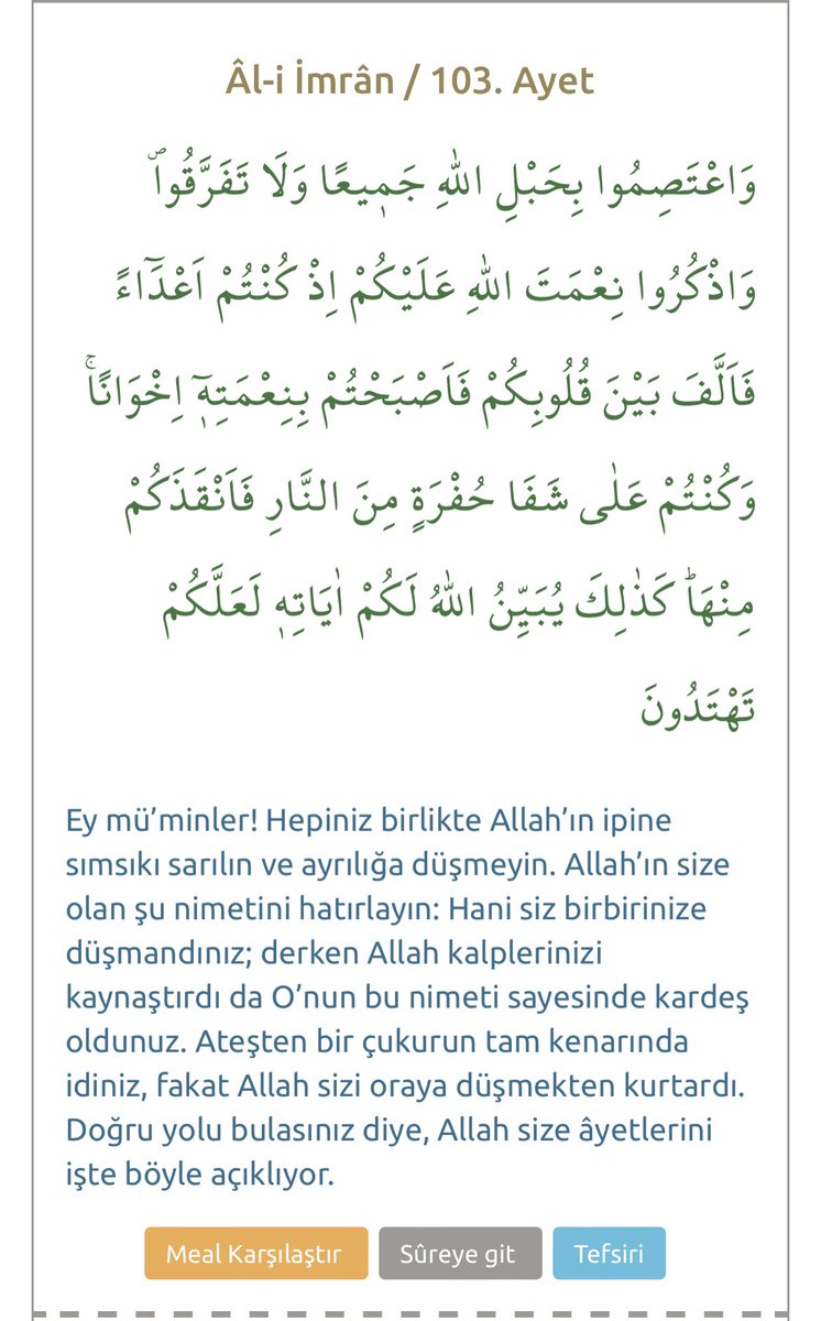 CİHAN YAMAN (@cihan_yamann) on Twitter photo 