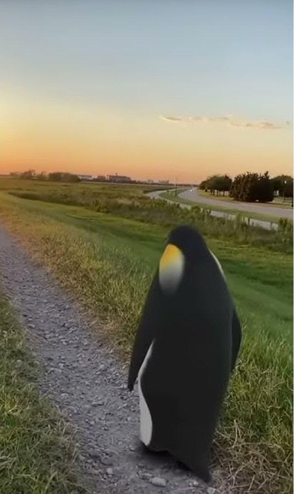 Do u ever wonder if spending a lot of time in fringe online communities is making you a little bit neurotic