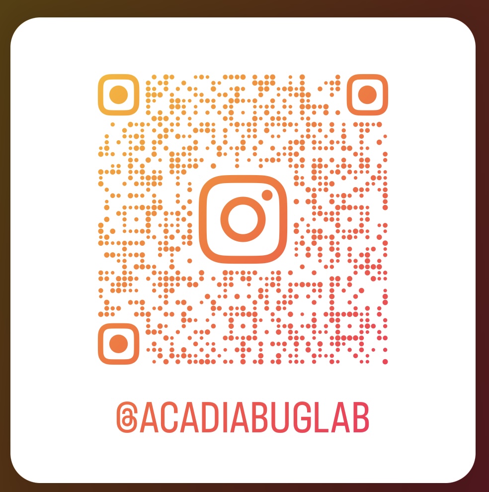 HillierLab's tweet image. I'm transitioning my research posts to facebook facebook.com/hillierlab and instagram (below).  Please check there for future updates