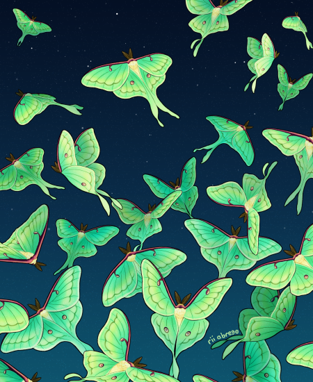 「luna moth (wallpaper sets below!)」|rii abregoのイラスト