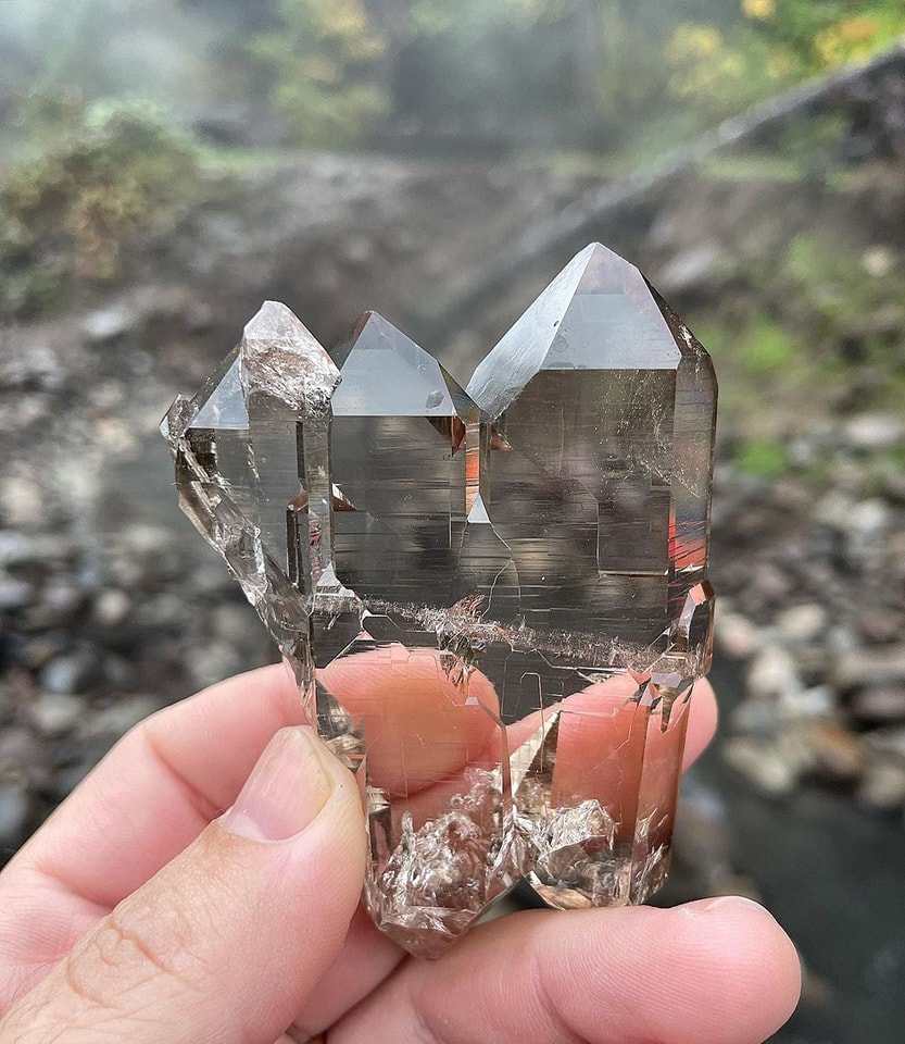 Gorgeous Smoky Swiss Quartz glowing over the rainy fall backdrop of McCredie Hot Springs in the Willamette National Forest.

Photo  © The Mineral Collective
